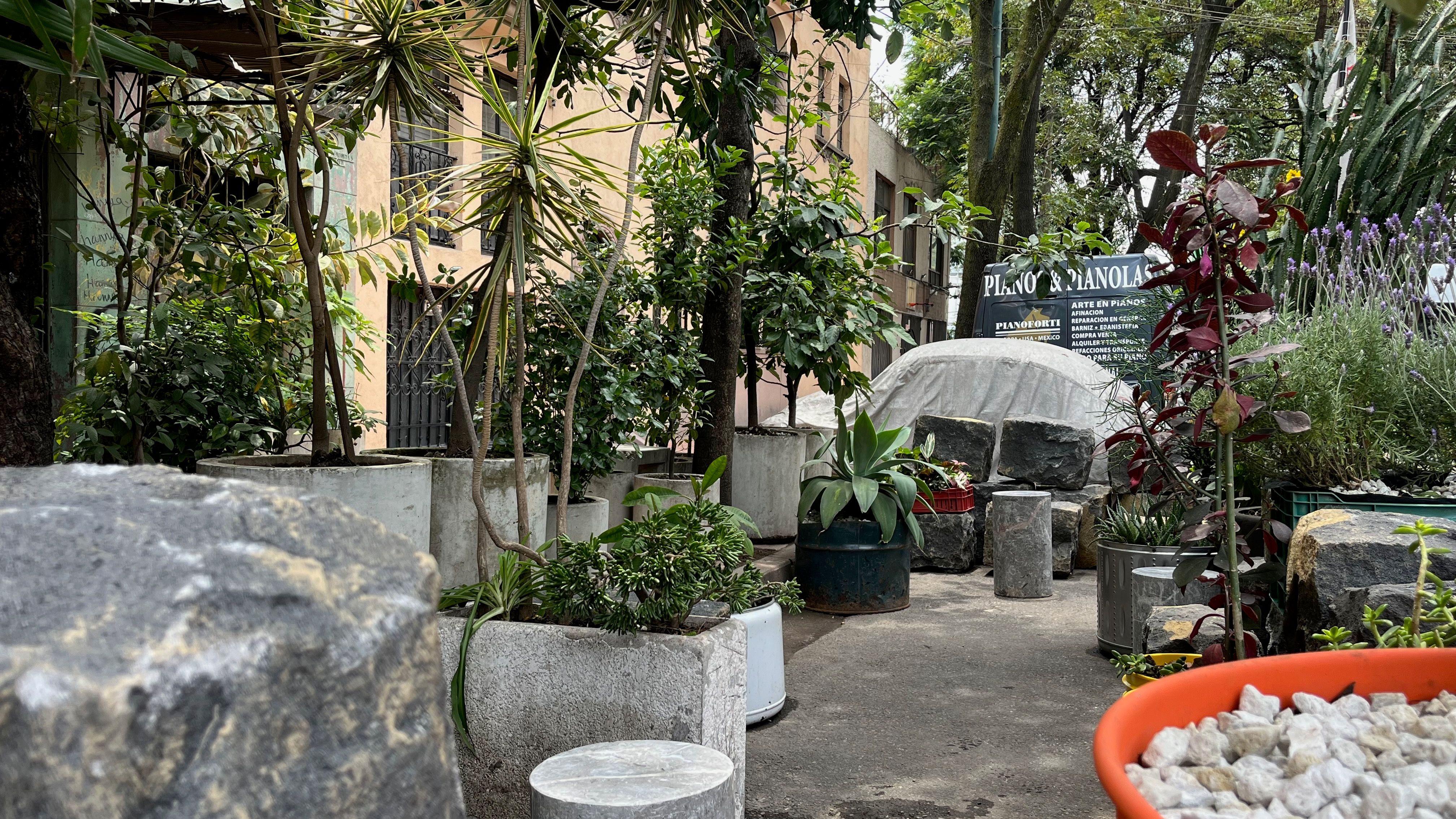 Gallery image 10