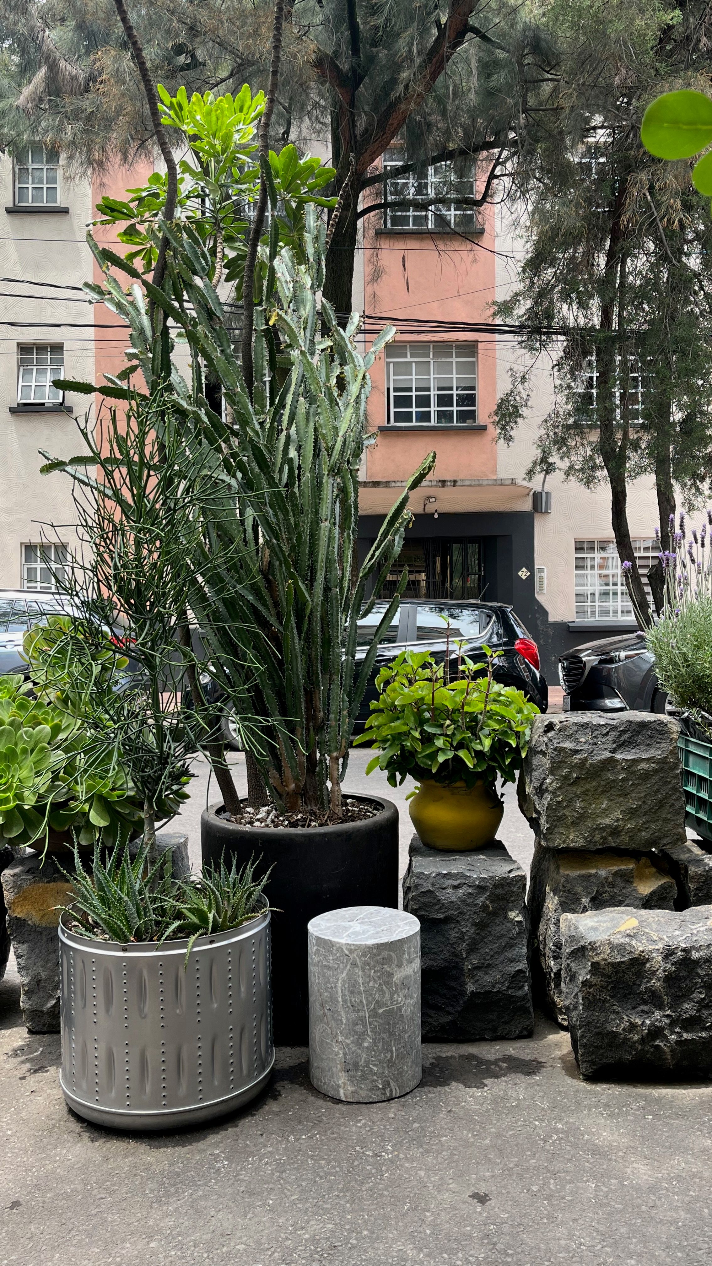 Gallery image 37