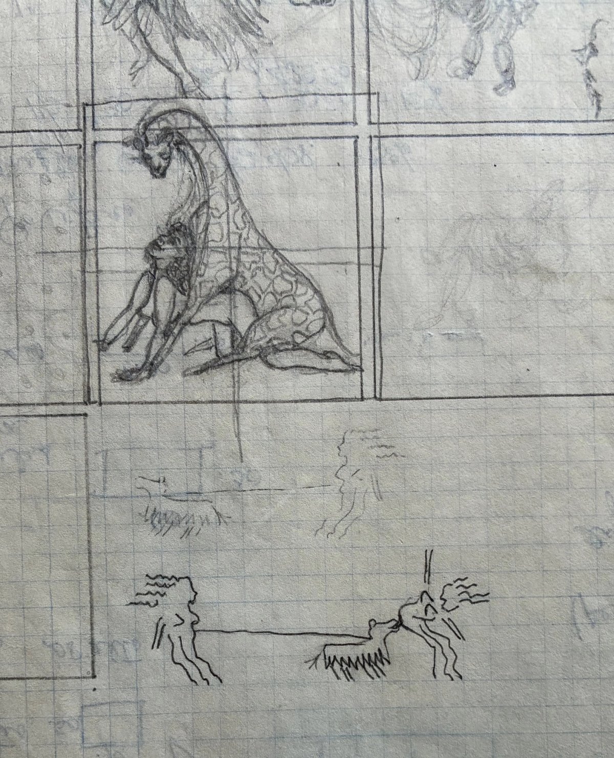Gallery image 14