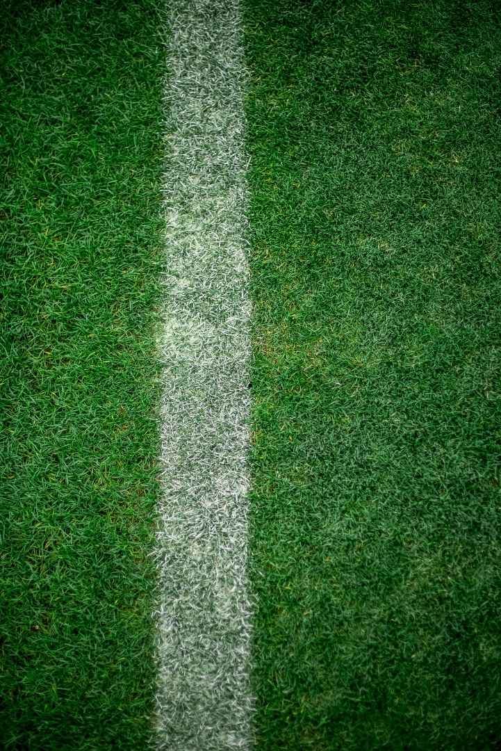 WonderWeb: Oddstracker, a data management tool powered by APIs.