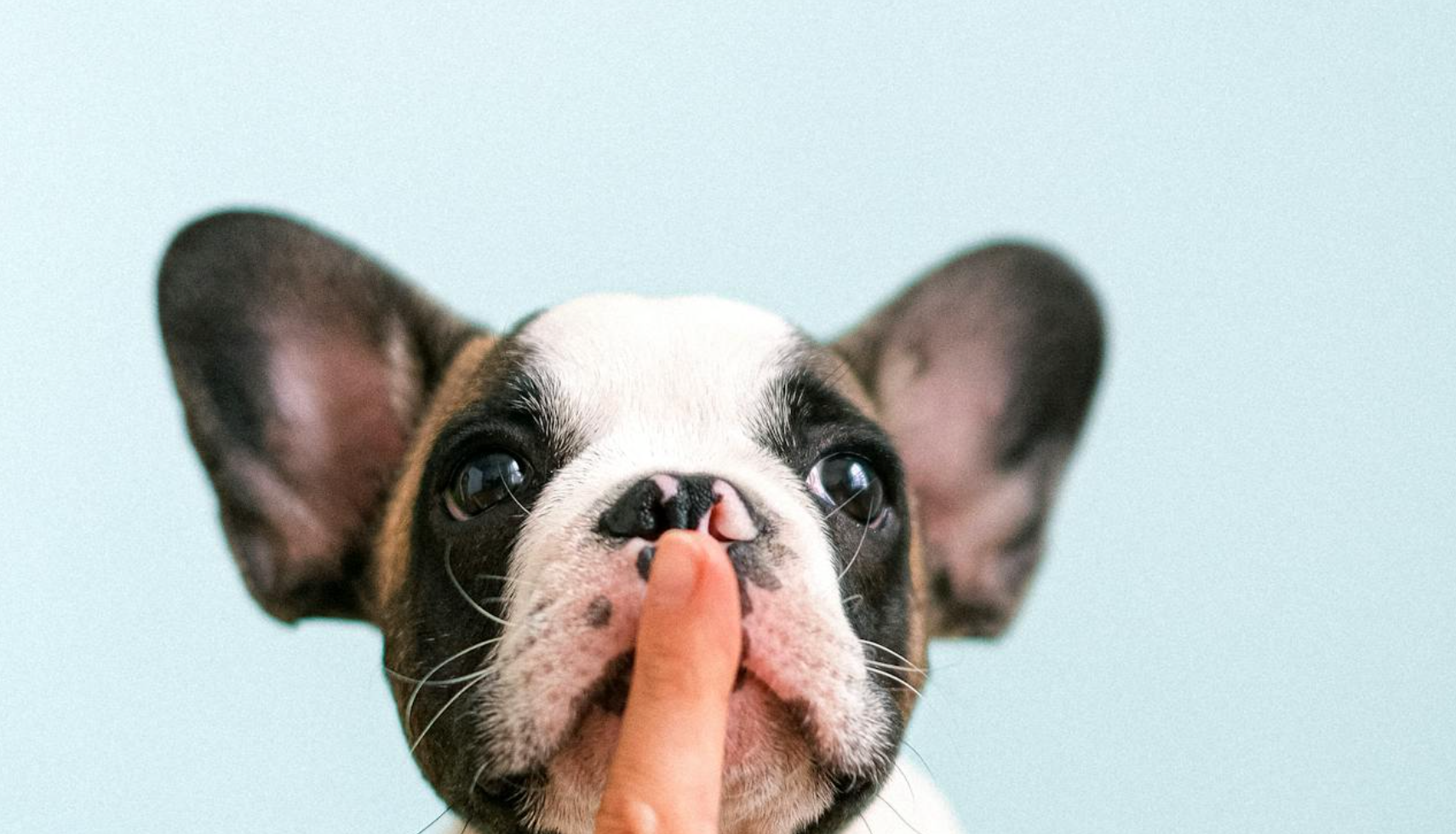 Stratégie de Relations Publiques en 5 étapes pour réussir