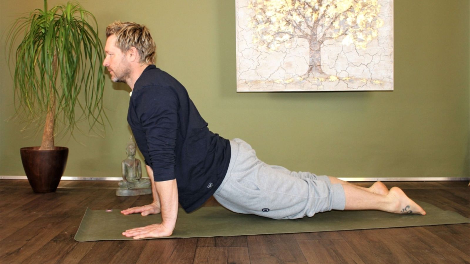 Transitions and alignments - From plank position to upward facing dog