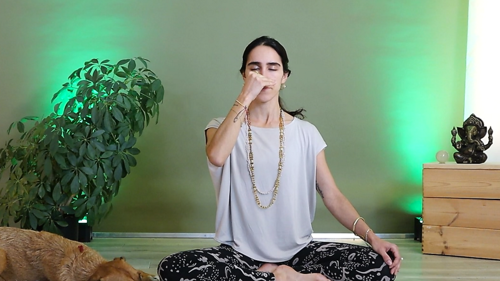 Yoga Konwledge - Everything you need to know about the Pranayama "Nadi Shodhana" 