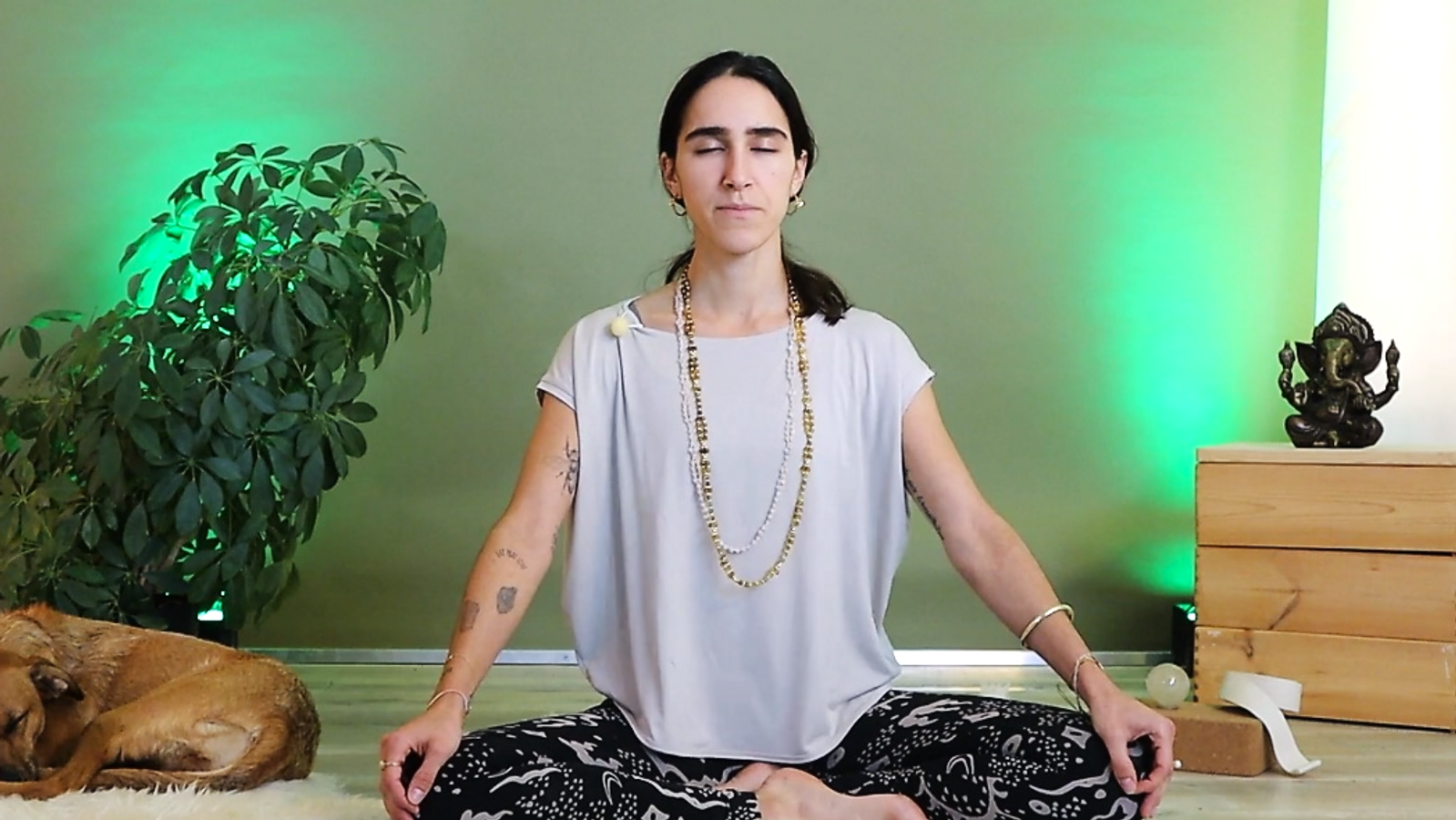 Yoga Konwledge - Everything you need to know about the Pranayama "Kapalabhati"