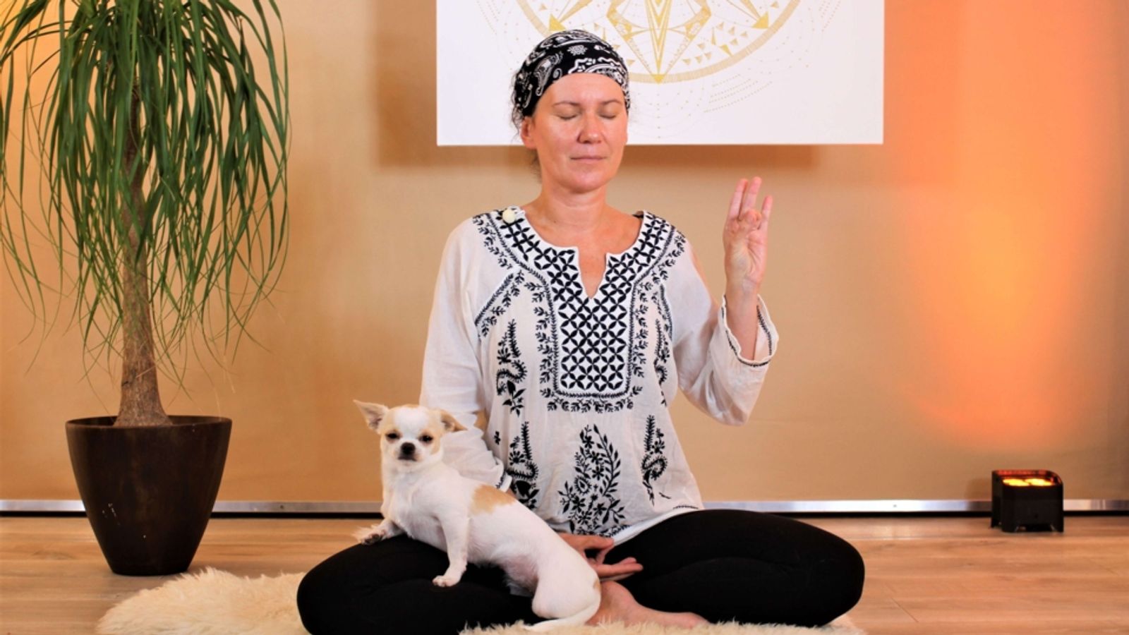 Meditation for strong nerves - Create mental balance