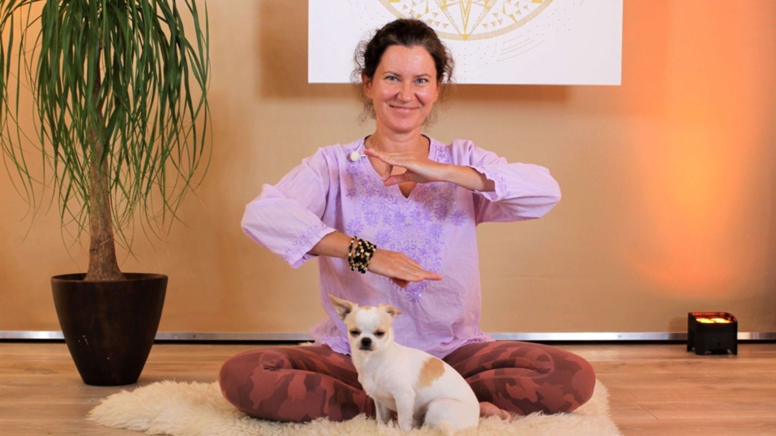 Kriya for Elevation - easy set of exercises is excellent as a tune-up