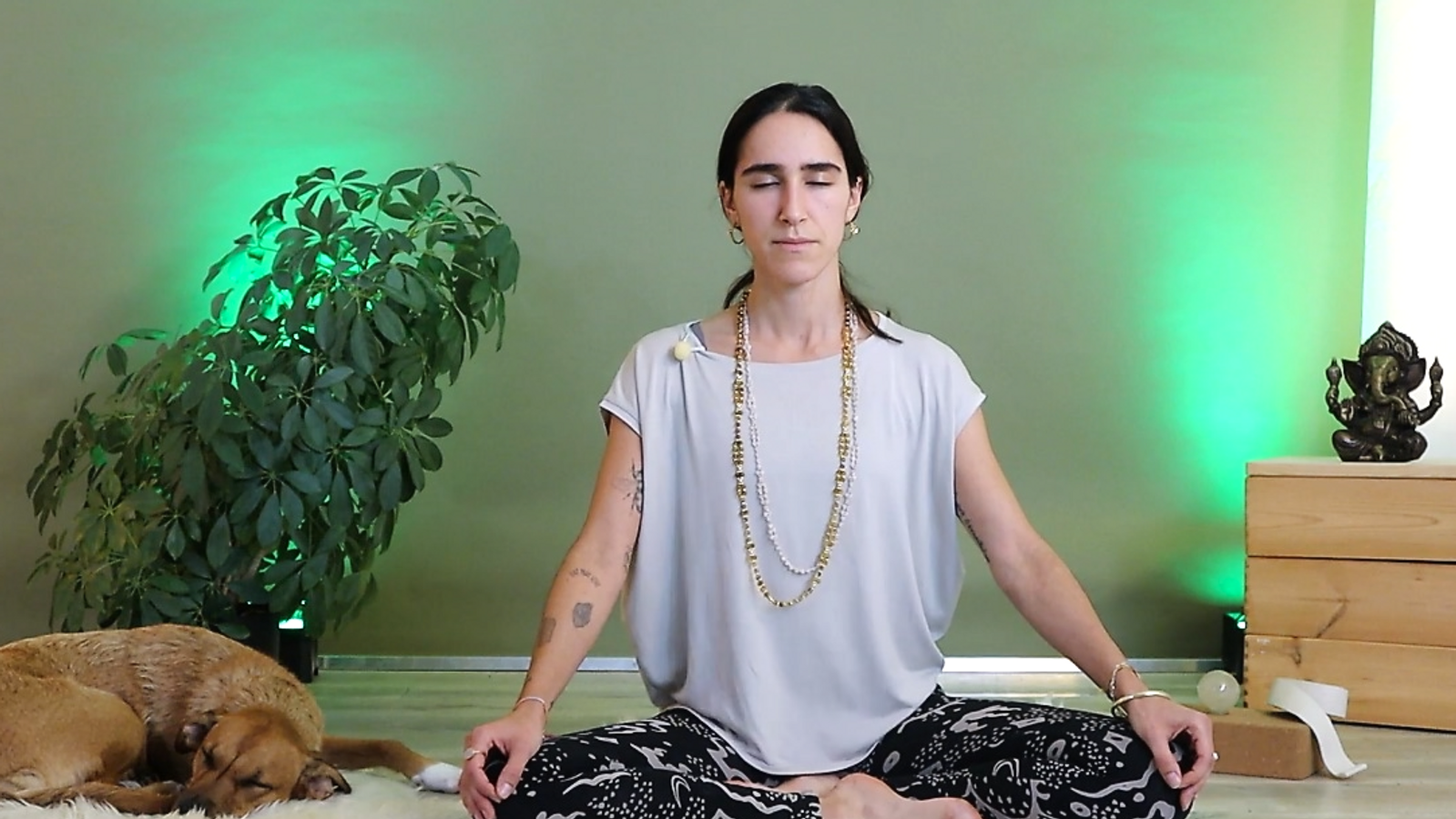 Yoga Konwledge - Everything you need to know about the Pranayama "Bhastrika"
