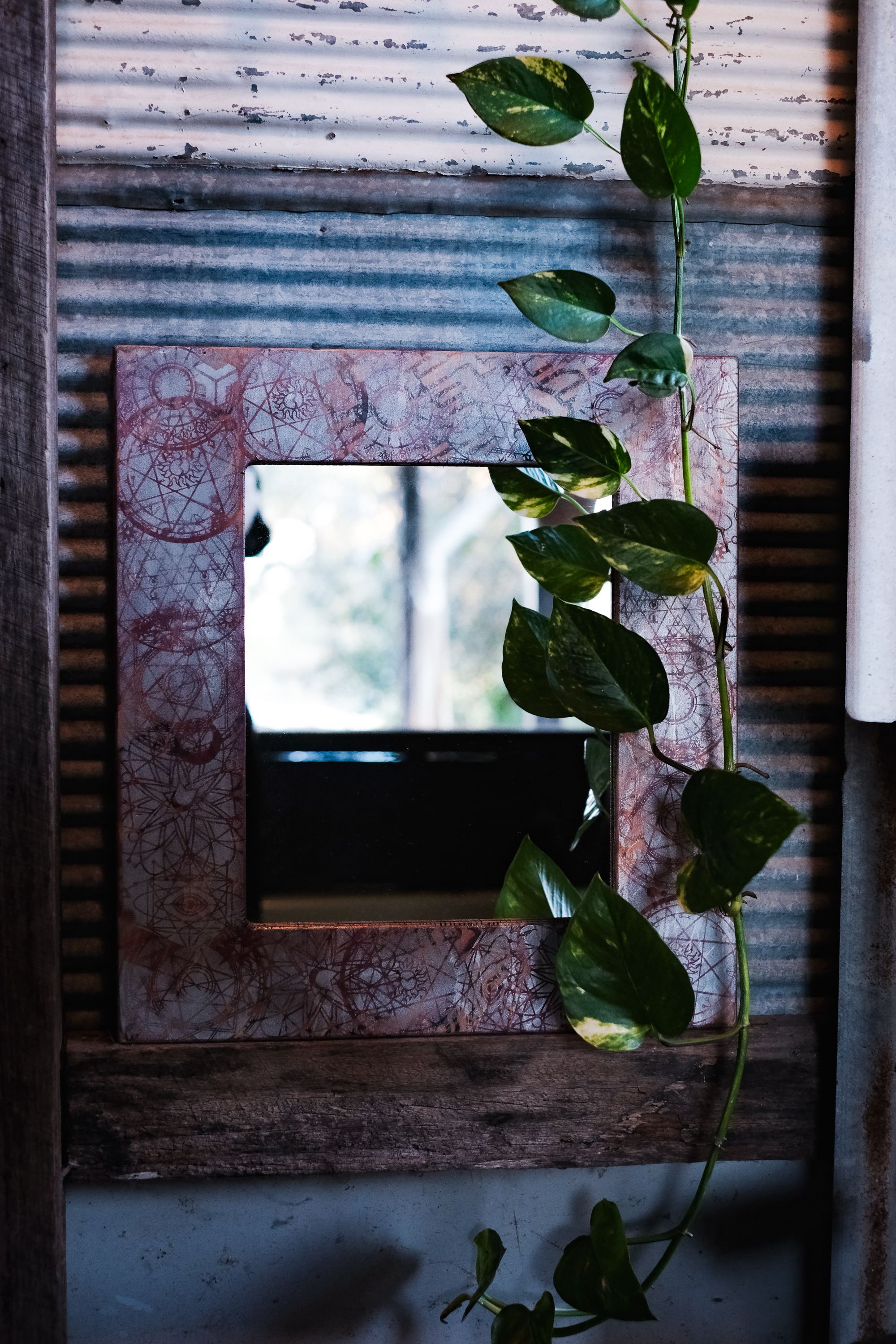 I was young, a handmade mirror: cropped full plant