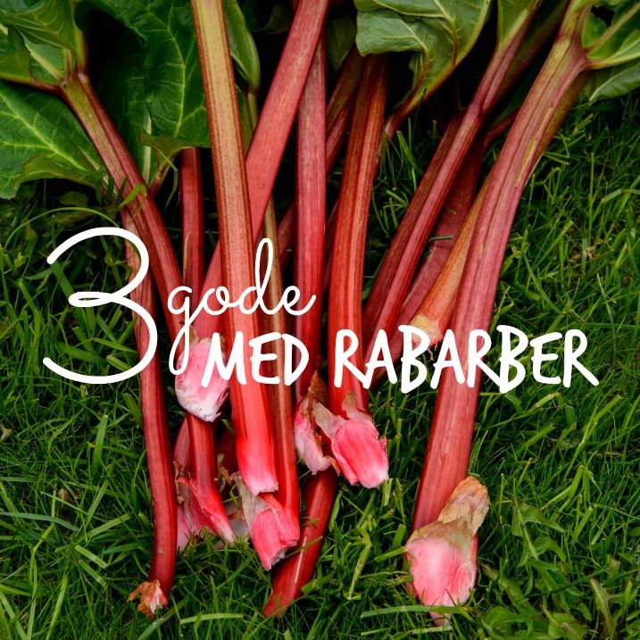 3 gode med rabarber