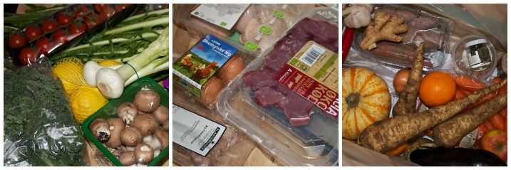 Aarstidernes LowCarbKasse - opsamling