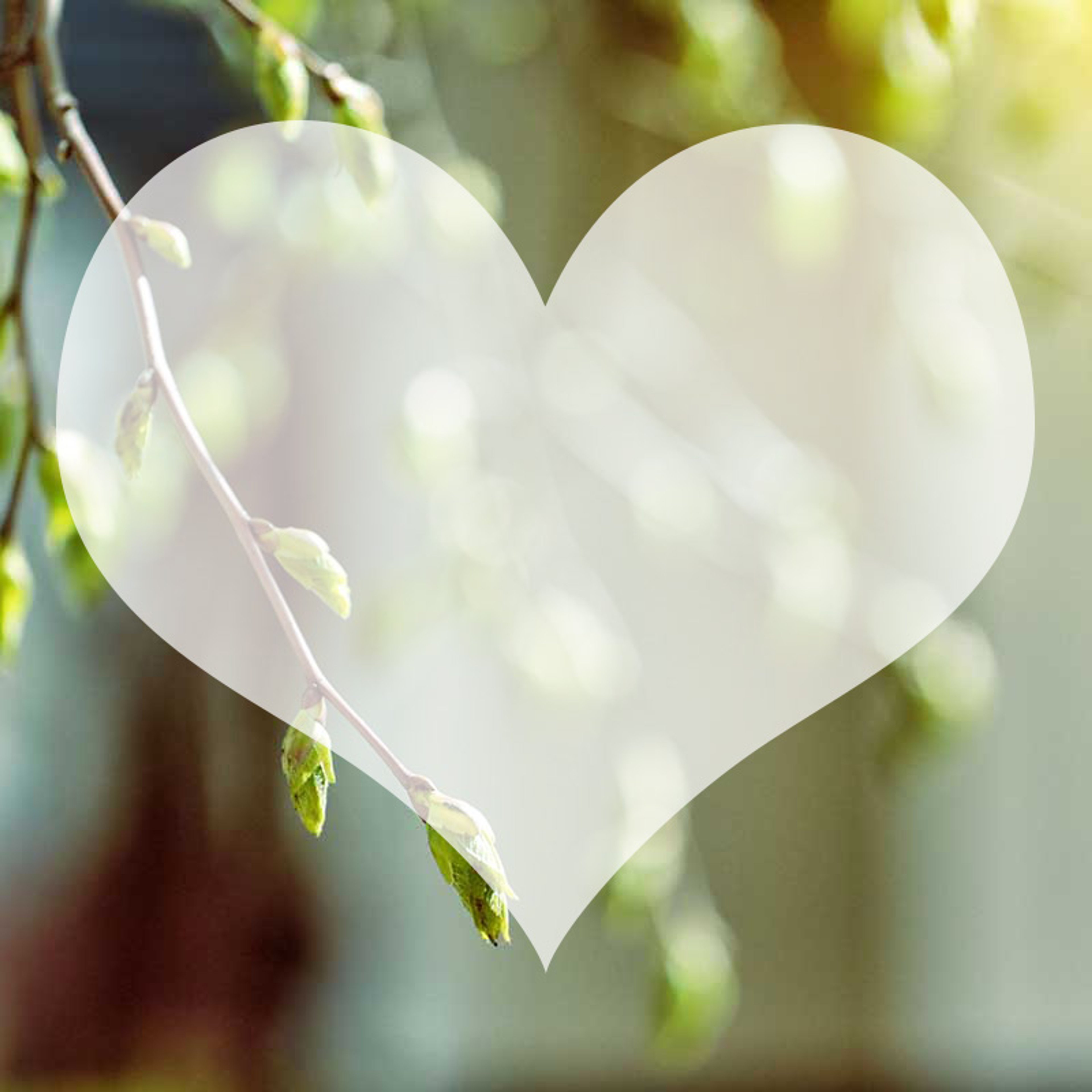 Ting der gør mig glad #5