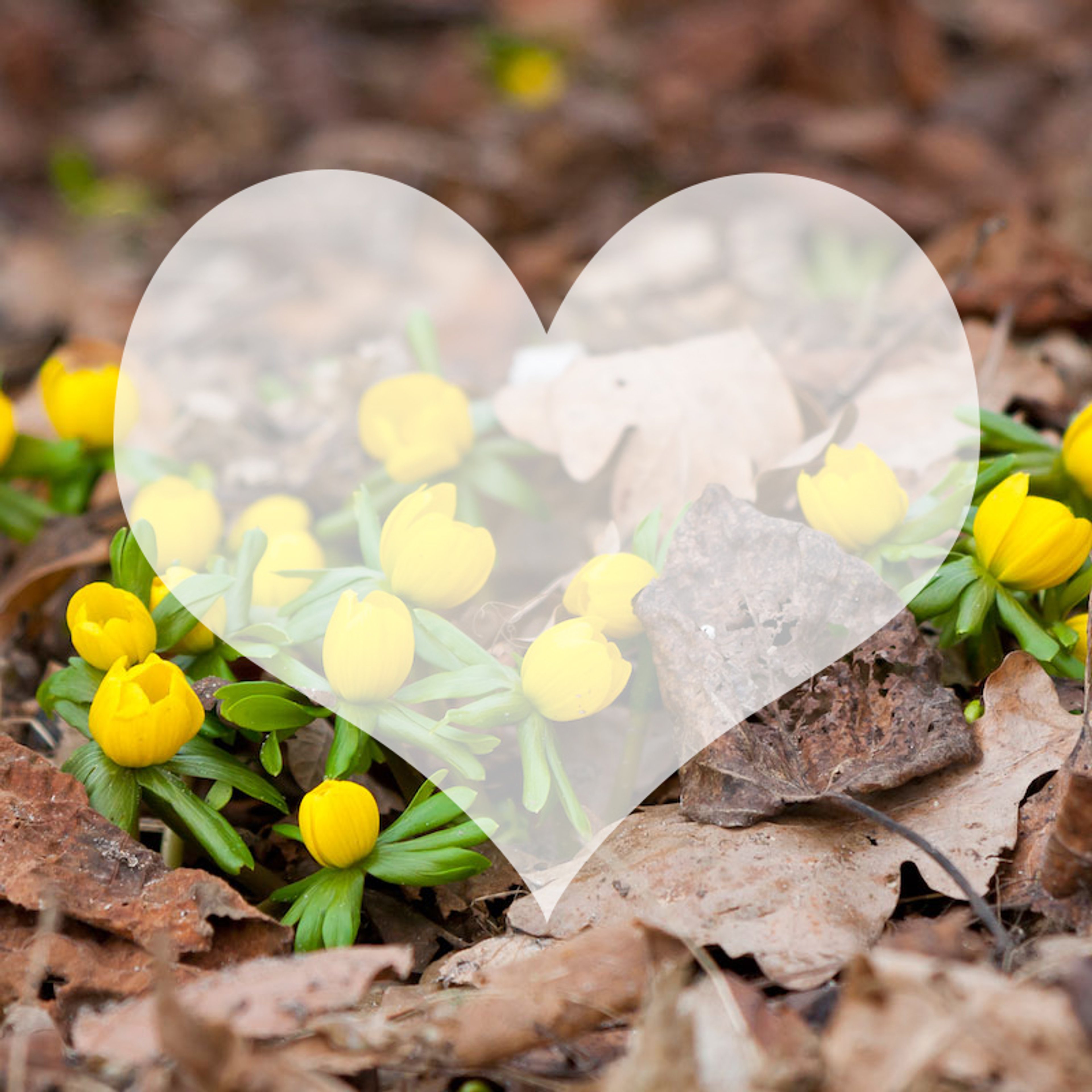 Ting der gør mig glad #3