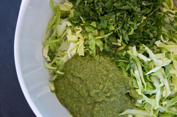 Spidskålssalat med pesto, basilikum og avocado