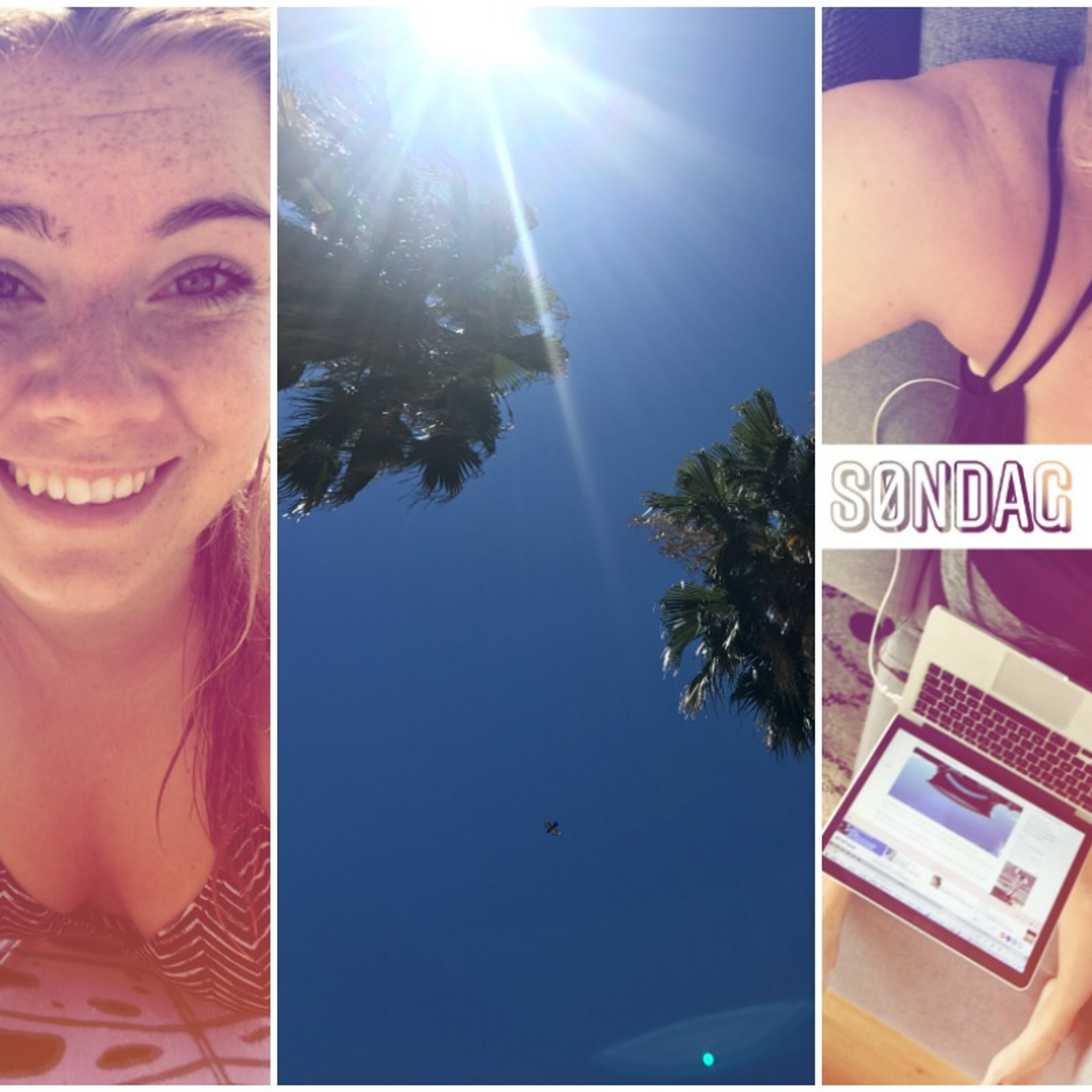 "Er hun mon holdt op med at blogge?"