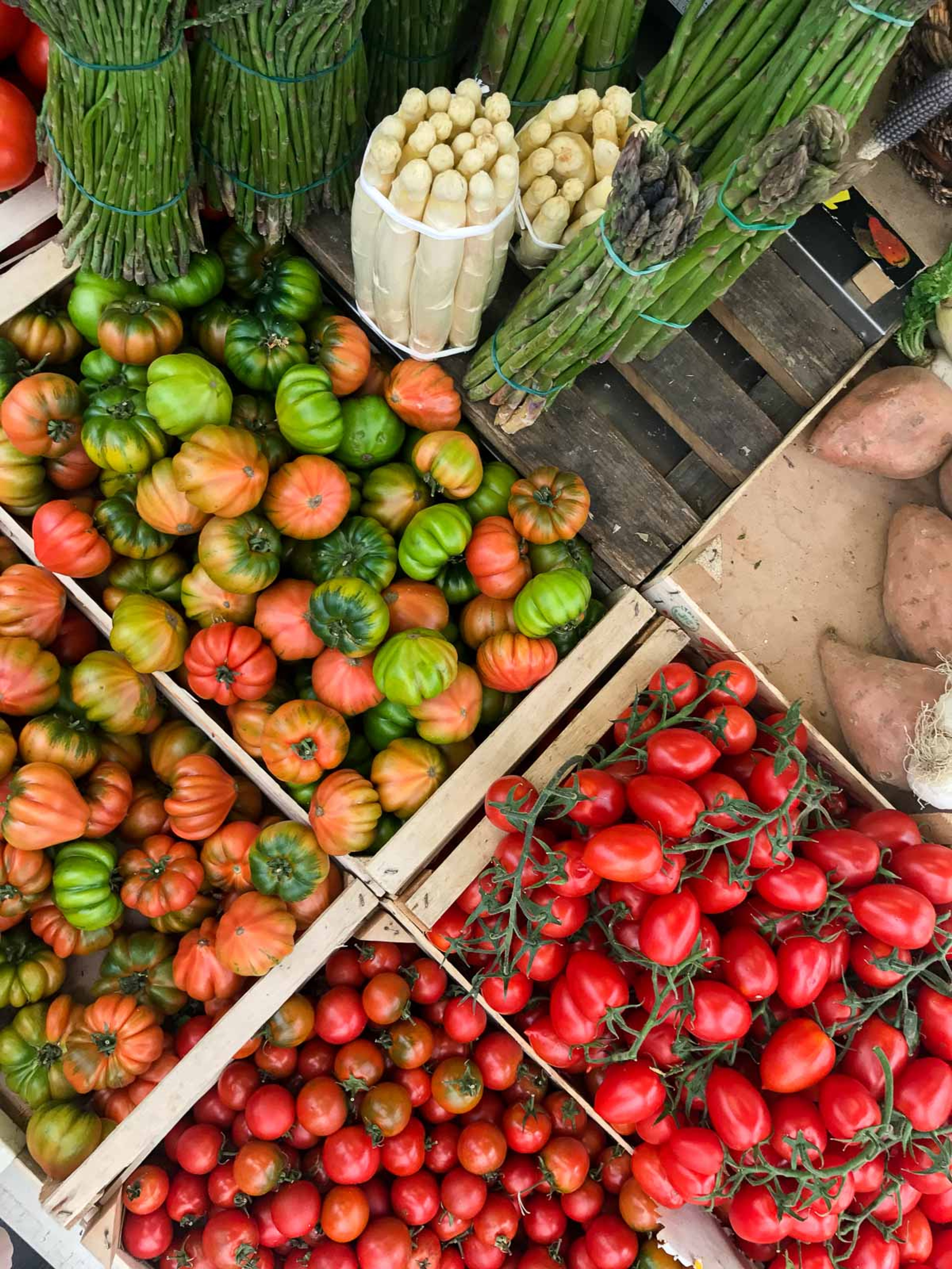 Rejsen til Rom: ruiner, solskin og mad som kultur