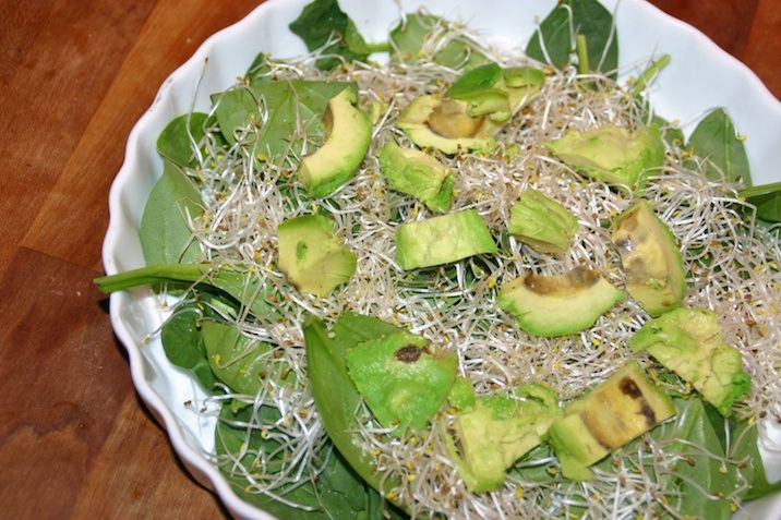 Solsikkefisk med sommersalat