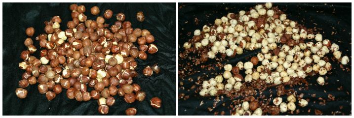 Grønkålssalat - hasselnødder