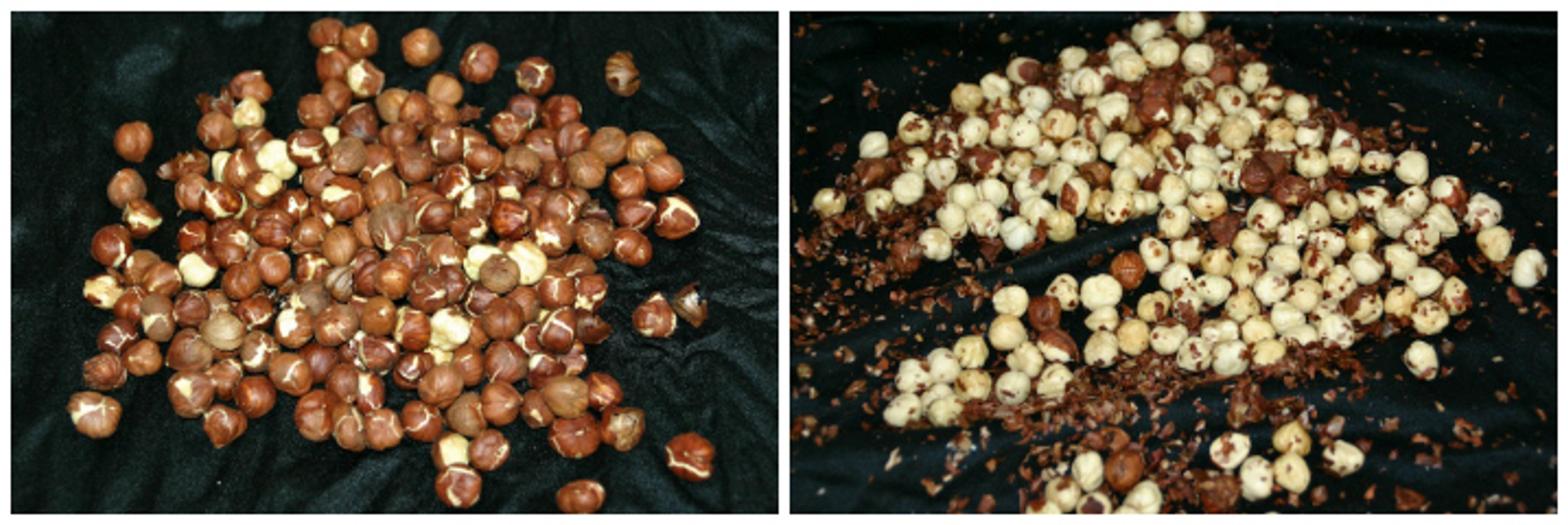 Grønkålssalat - hasselnødder