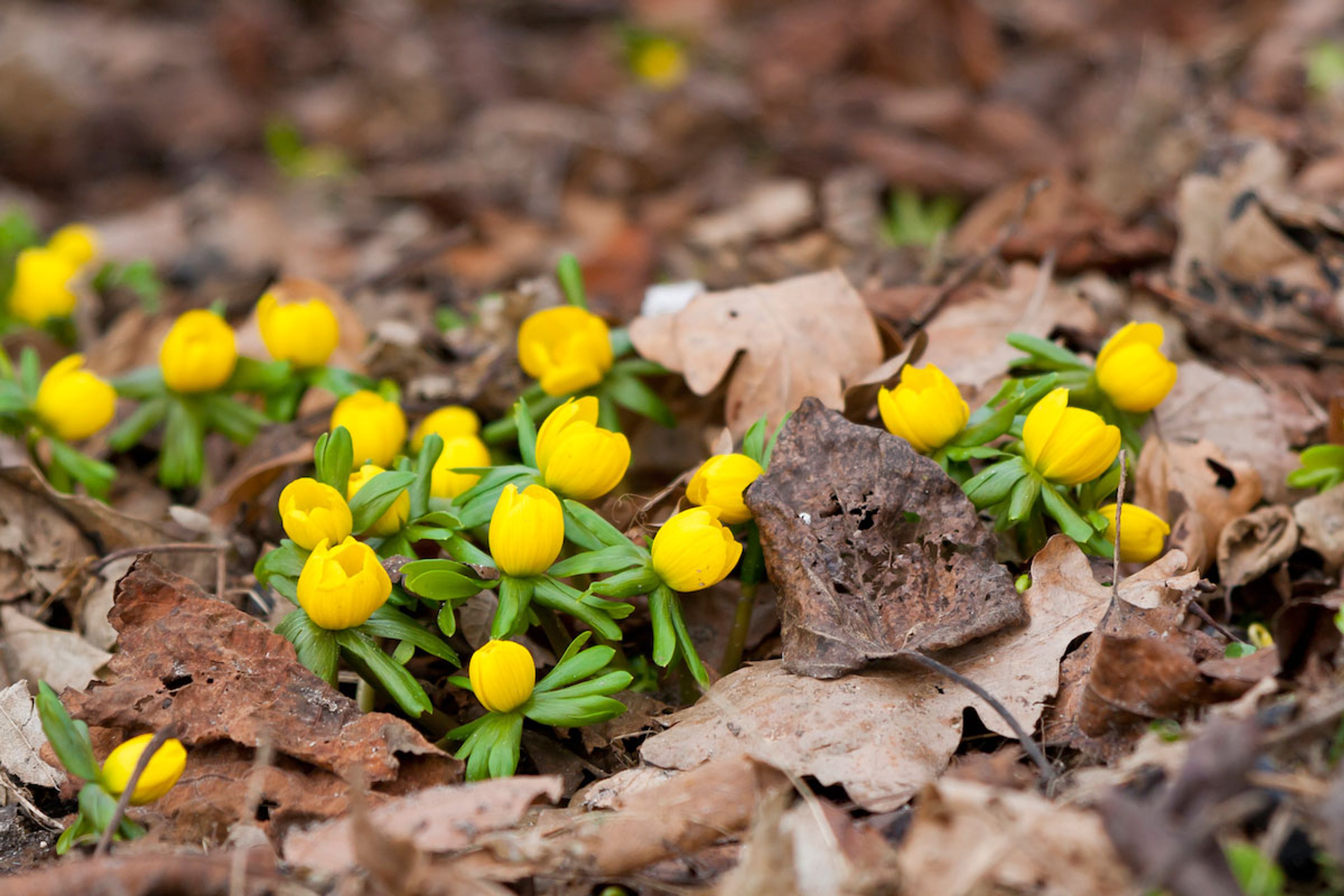 Ting der gør mig glad #3