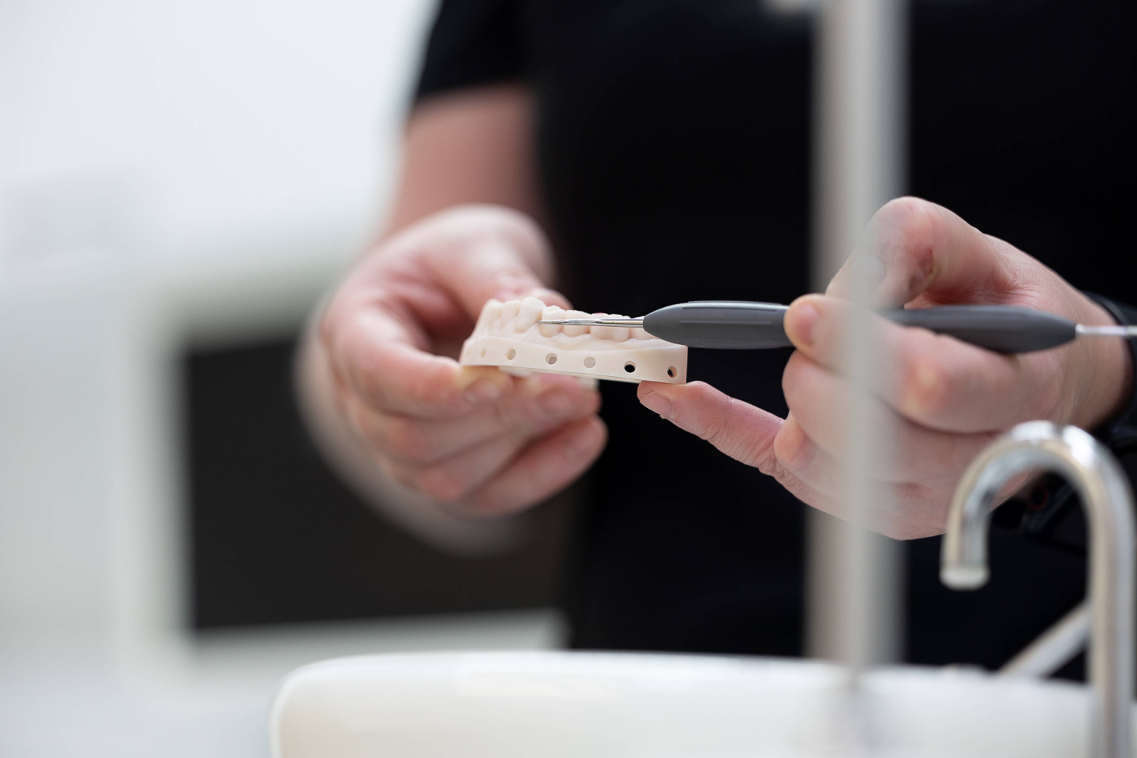 A dentist holding a model of a lower jaw