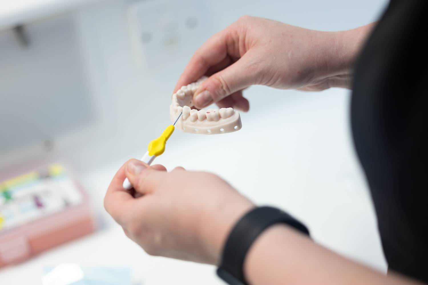 A dentist demonstrating how to use an interdental brush on a model of some teeth