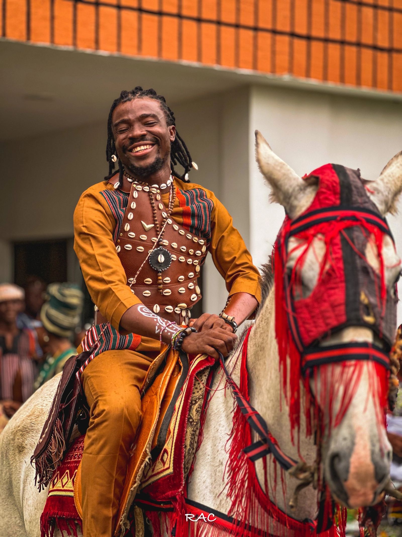 Horse and rider