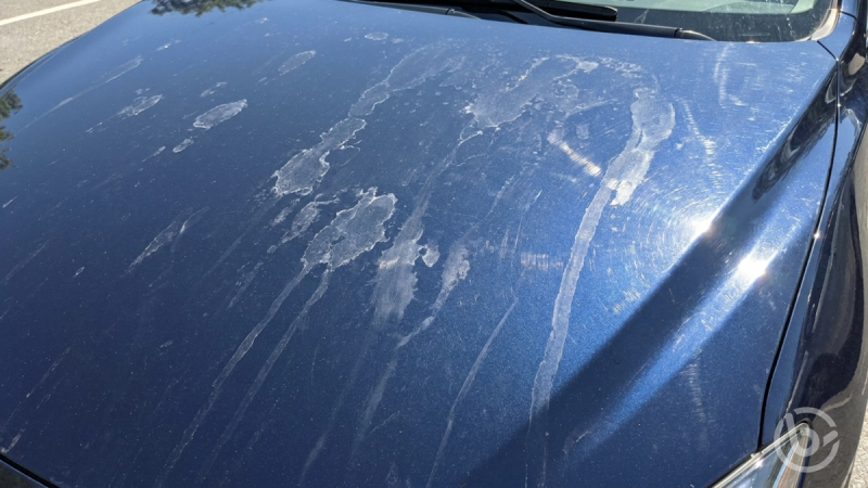 Water Marks