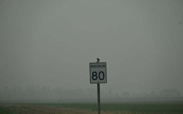 Speed limit sign on a highway