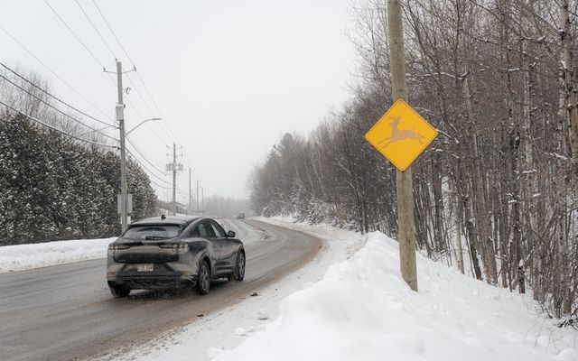 Car on a snowy road with a slippery road sign.