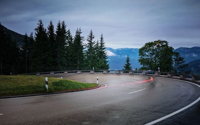 curve road between trees during daytime