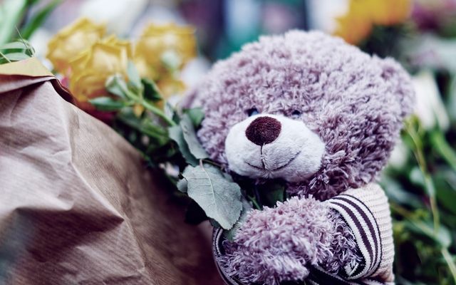 a teddy bear sits on a bench