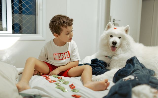 Family dog outdoors, representing pet safety in Ohio and Kentucky
