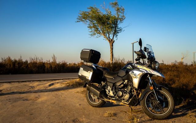A motorcycle parked on a dirt road near a tree.
