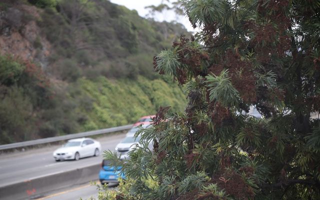 Cars driving on a highway next to a hill.