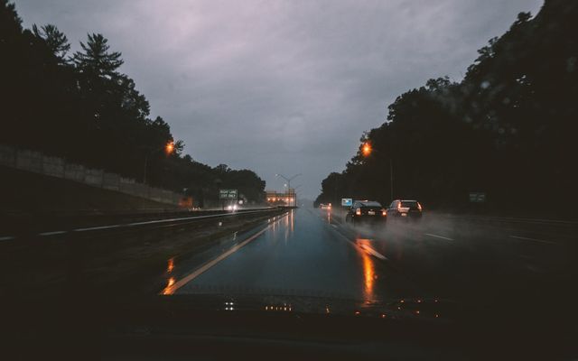 cars on road near trees