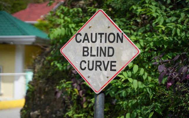 Caution blind curve warning sign amidst foliage