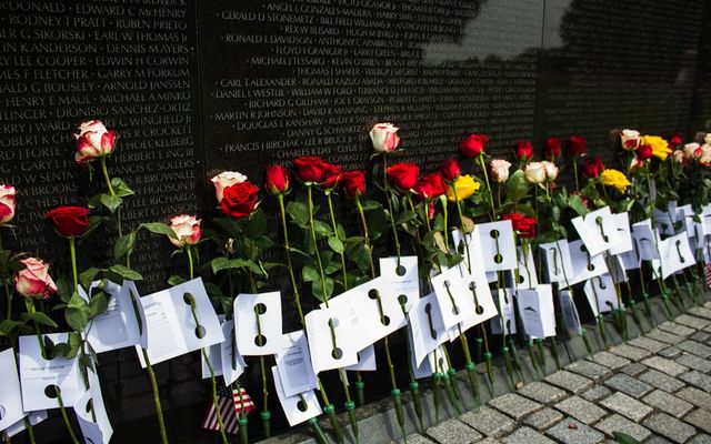 red and white flowers on gray metal fence