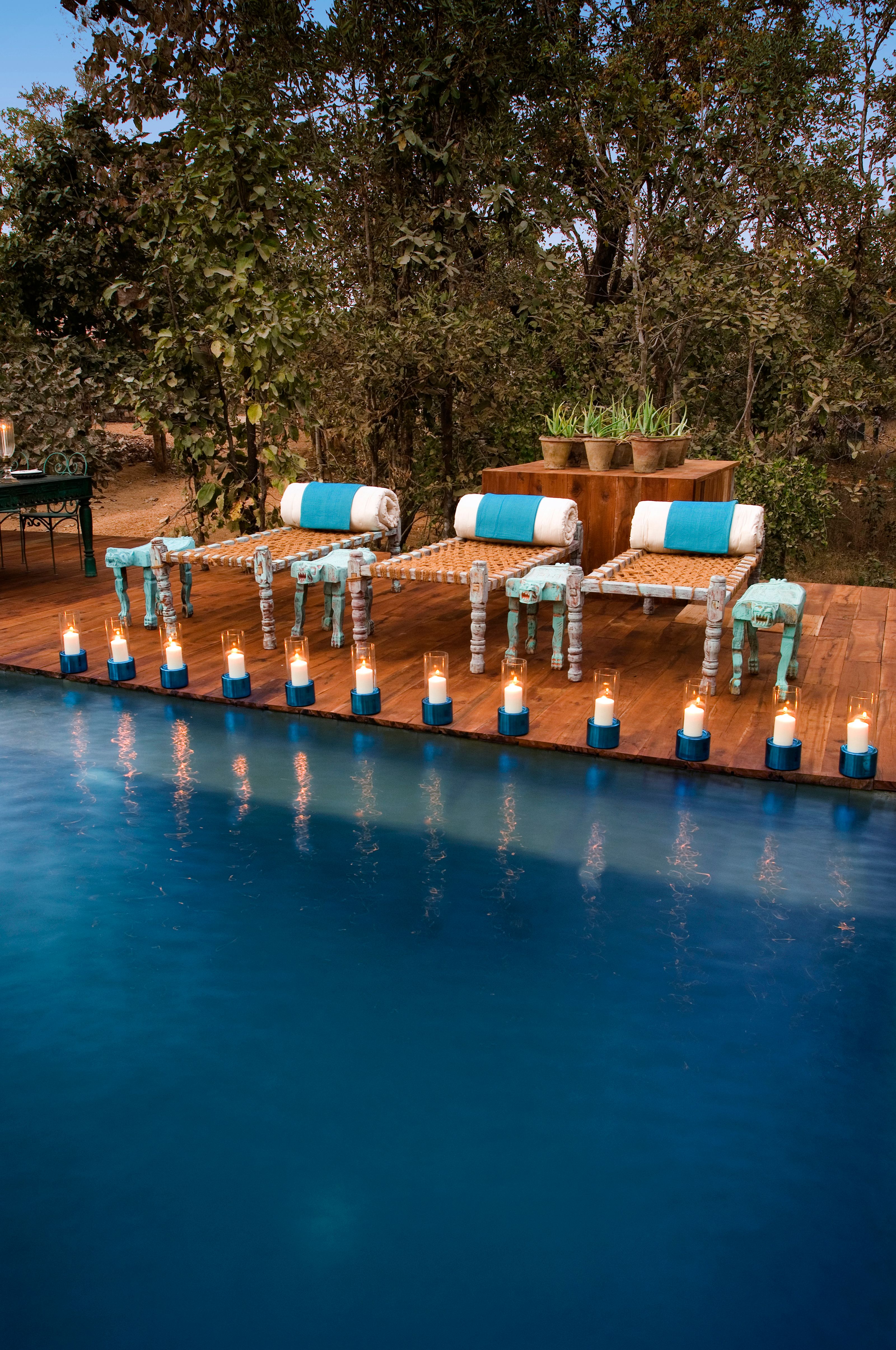 Taj Baghvan Pench Tree Lodge, photo 3