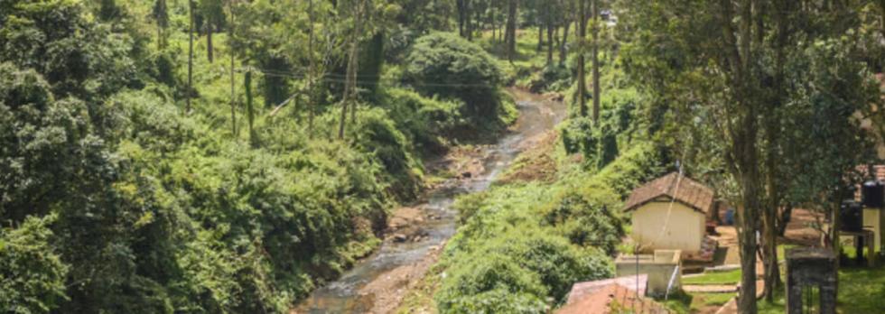 Bird-Watching Sites in Coonoor