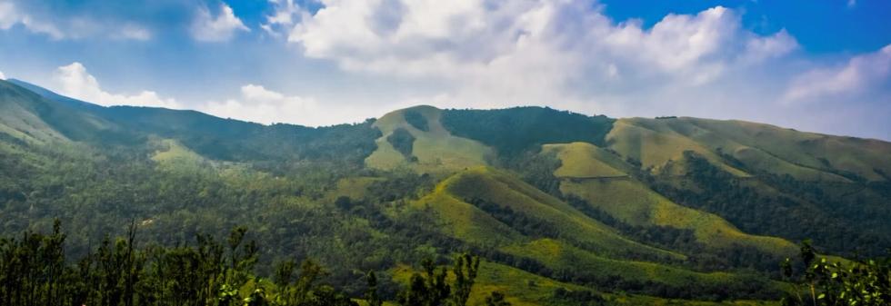 Wildlife experience with Gateway Chikmagalur
