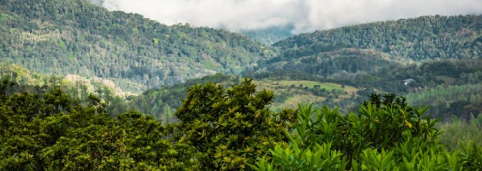 Things to Do in Chikmagalur