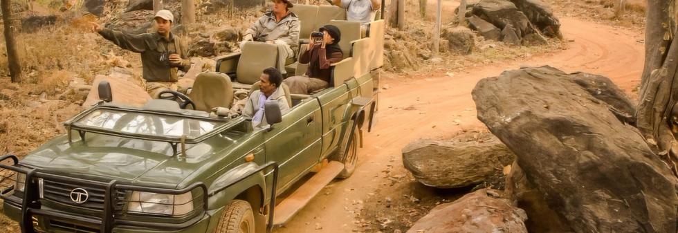 Wildlife Escapes - Taj Holidays