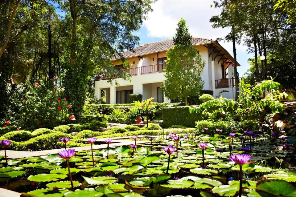Beautiful lotus pond at Gateway Chikmagalur