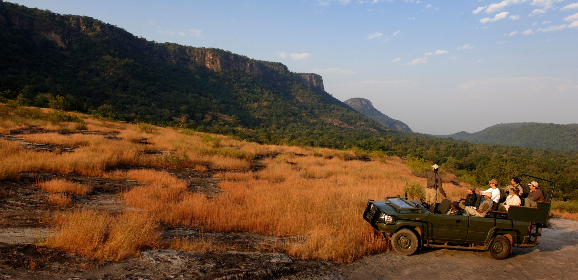 Game drive in an Indian national park