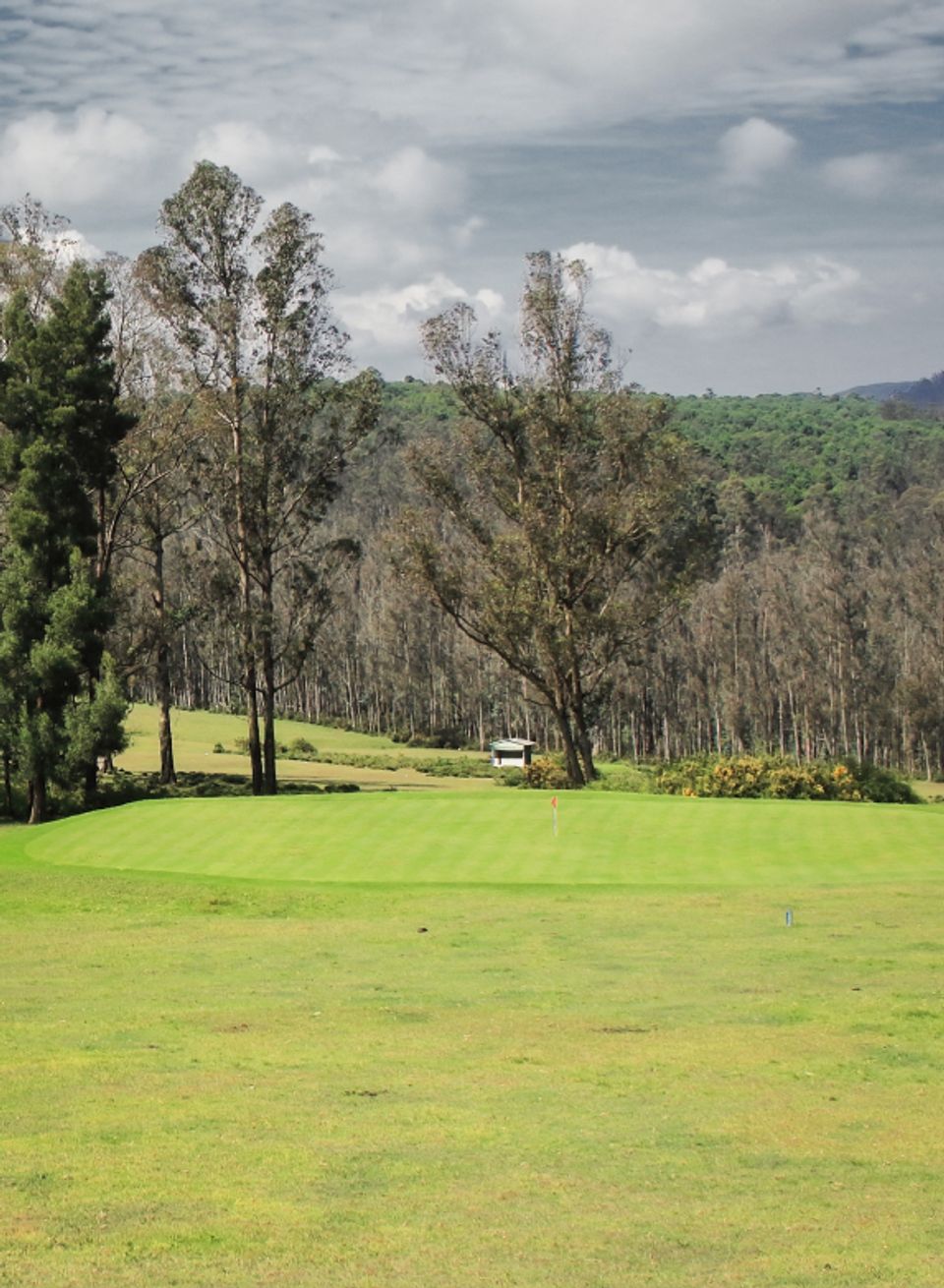 Play a Round of Golf