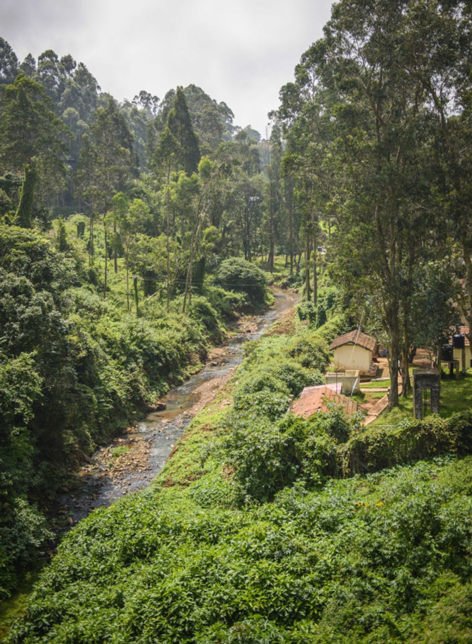 Places to Visit in Coonoor - Hidden Valley