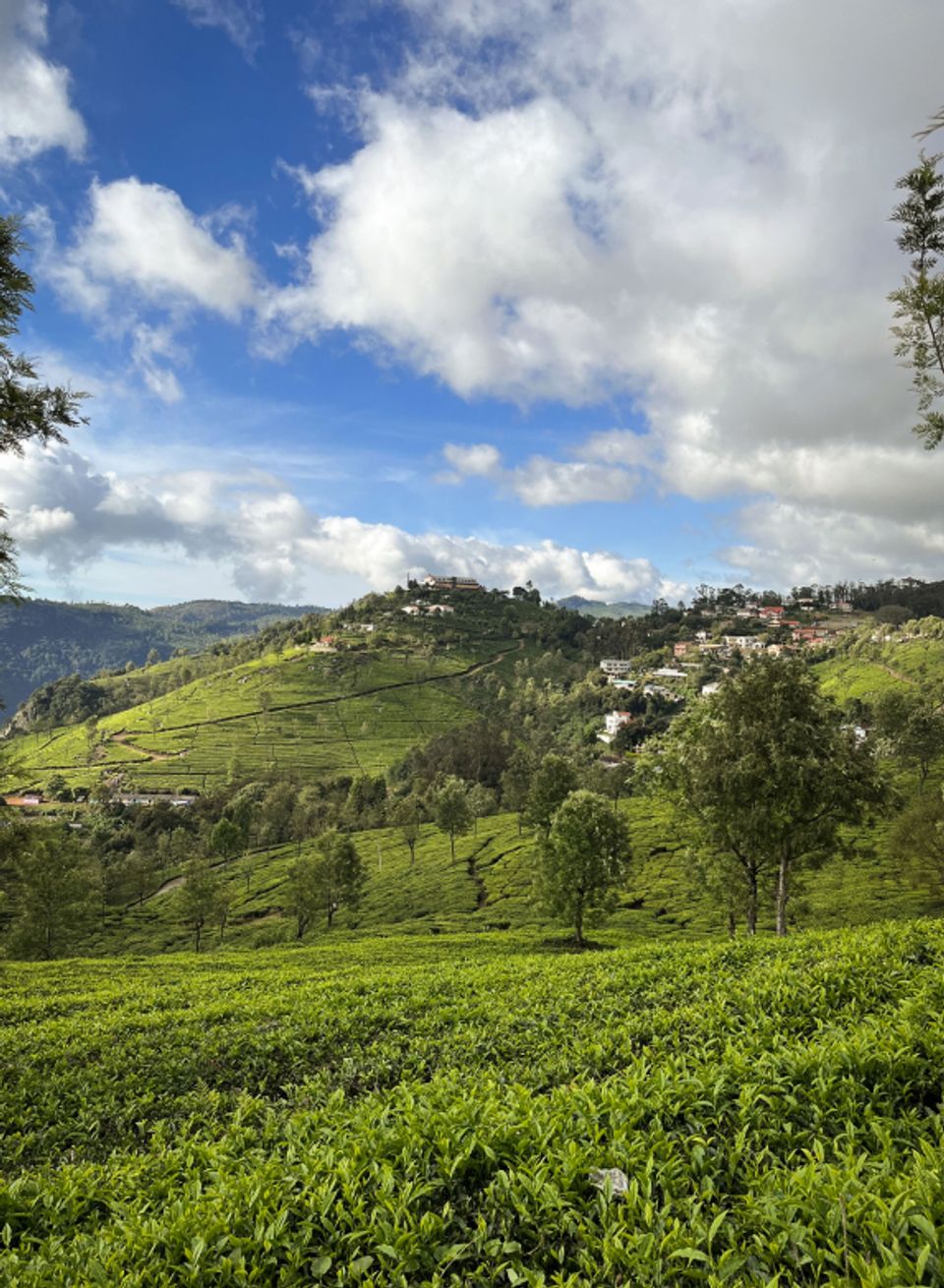 Things to See in Coonoor - Dolphins Nose