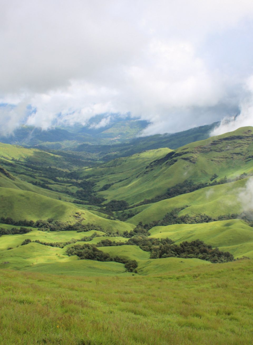 Kudremukh National Park - Spot Wildlife