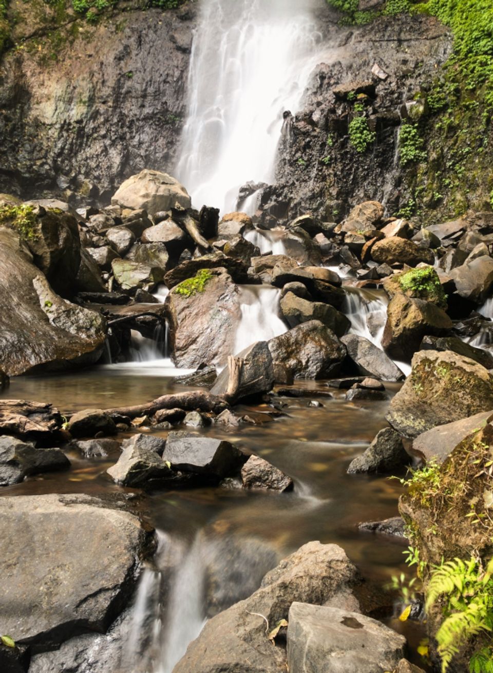 Perfect Spot for a Picnic - Law's Falls