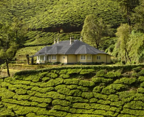 
                Sholamallay Bungalow, Munnar - amã Stays & Trails_img
                